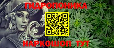 гашик Лесосибирск