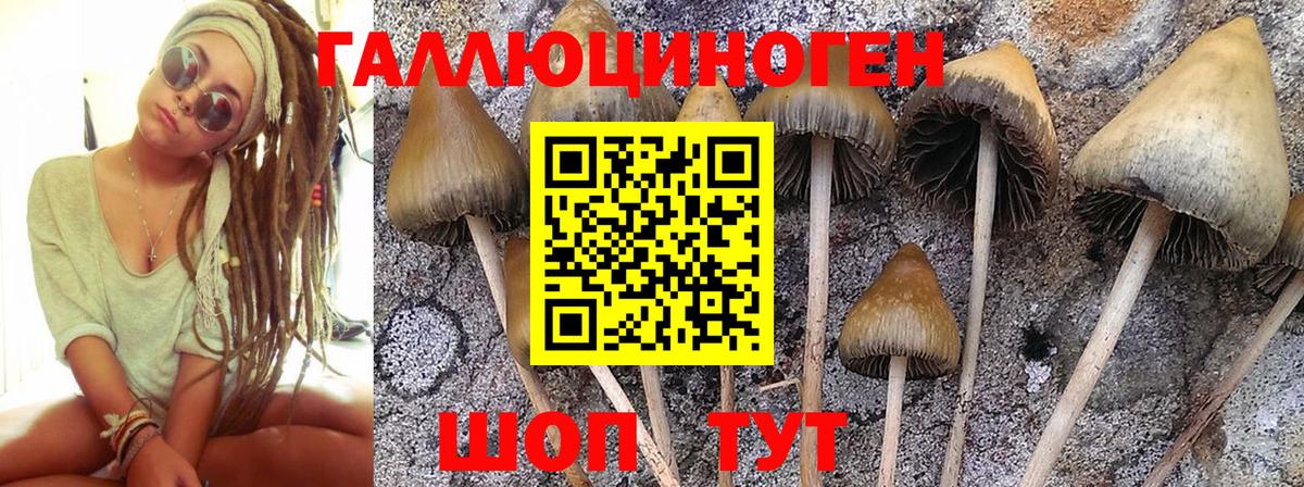 Галлюциногенные грибы Psilocybe  Псилоцибиновые грибы Cubensis  Рыбинск  Вход с VPN 