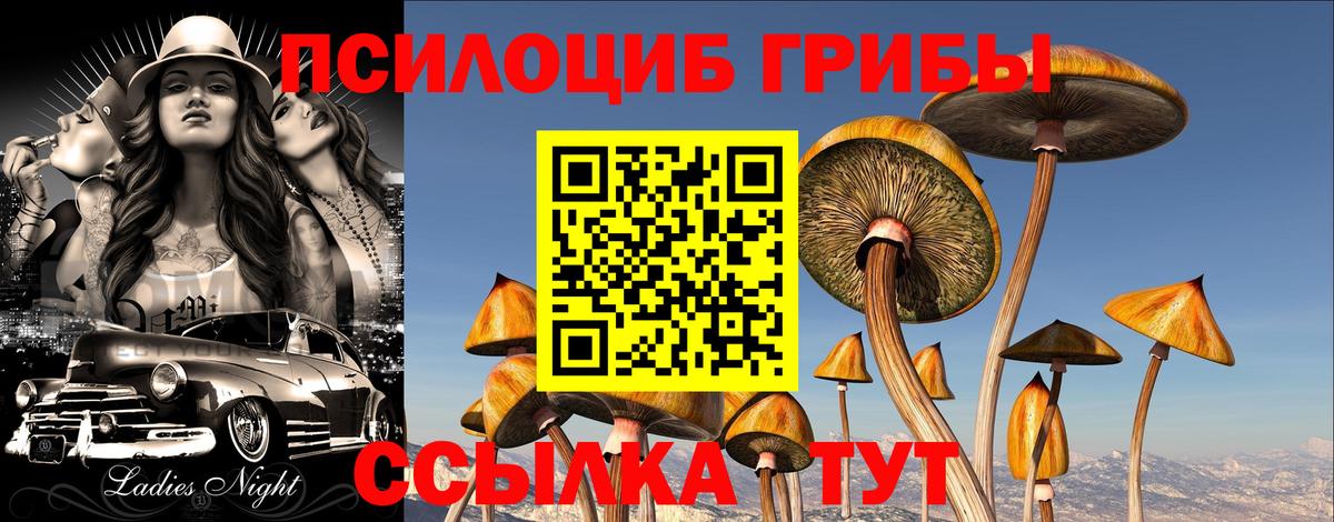 Галлюциногенные грибы Magic Shrooms Рыбинск